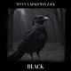 Black feat SpaceMan Zack Single