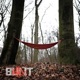 Bunt