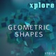 Geometric Shapes Single