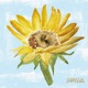 Girassol Single