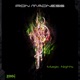 Magic Nights Single
