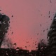 Sun Droplets Single