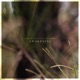 Awakening Single