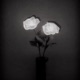 Vices Single