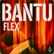 Flex Single