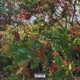 Hold On feat Charlestine Sunogk Single