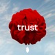 Trust Single