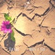 Don t Go Single