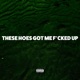 These Hoes Got Me F d Up EP