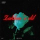 Zakhm e dil raw Single