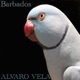 Barbados EP