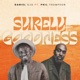 Surely Goodness feat Phil Thompson Single
