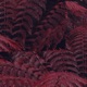 Cascade Single