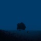 dark night Single