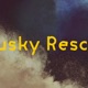 Catskills Records 20 Years of Victory My Shelter Single