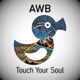 Touch Your Soul Single
