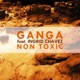 Non Toxic Radio Edit feat Ingrid Chavez Single