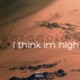 Paranoid I Think I m High Single