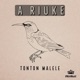 A Riuke Single