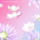 No Rush feat Jamie Jermaine Single