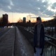 werden will Single