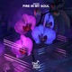 Fire in My Soul Single