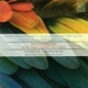 Influencias Music for Clarinet and Piano