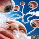 Profits feat Wiardon Lord Juco Single