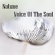 Voice of the Soul EP