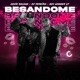 Besandome NYC Single