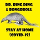 Stay at Home Covid 19 feat Bongoroll Single