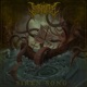 Siren Song Single