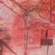 share the pain 2 Single