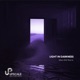 Light in Darkness Single