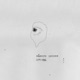Afuera Single
