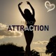 Attraction Single
