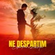 Ne despartim Single