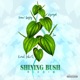 Shining Bush Riddim EP