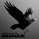 Pachari Single