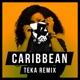 caribbean Teka Remix Single
