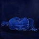 Indigo Single
