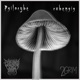 Psilocybe cubensis feat 2GRIM Single