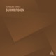 Astrolabe Choice Submersion