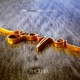 Phoenix feat Melissa Laveaux Single