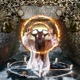 Ritualist Single