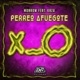 Perreo Afuegote feat Kazu Single