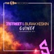 Guinea Underground Mix Single