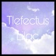 Lilac Single