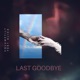 Last Goodbye Single