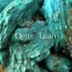 Quiet Light Single